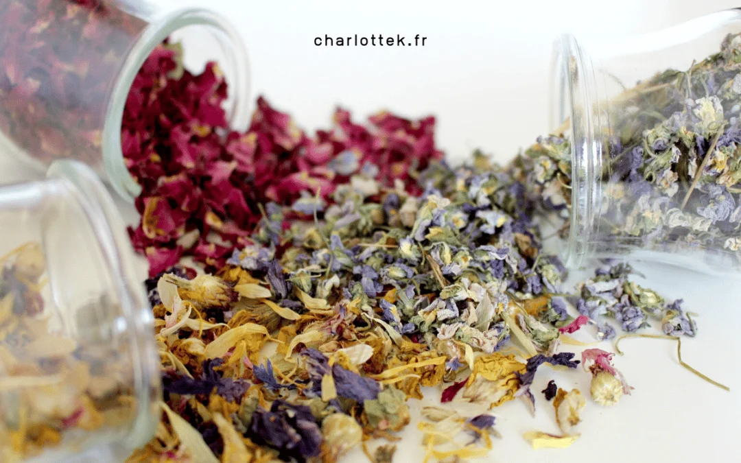 Infirmière naturopathe : une alternative au métier d&rsquo;infirmière