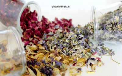 Infirmière naturopathe : une alternative au métier d’infirmière