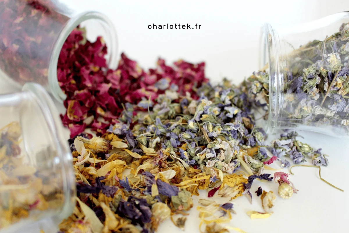 infirmiere naturopathe