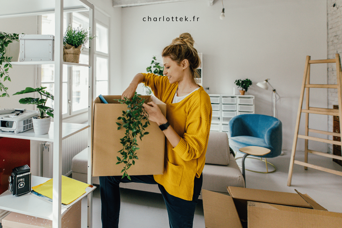 décoratrice intérieur