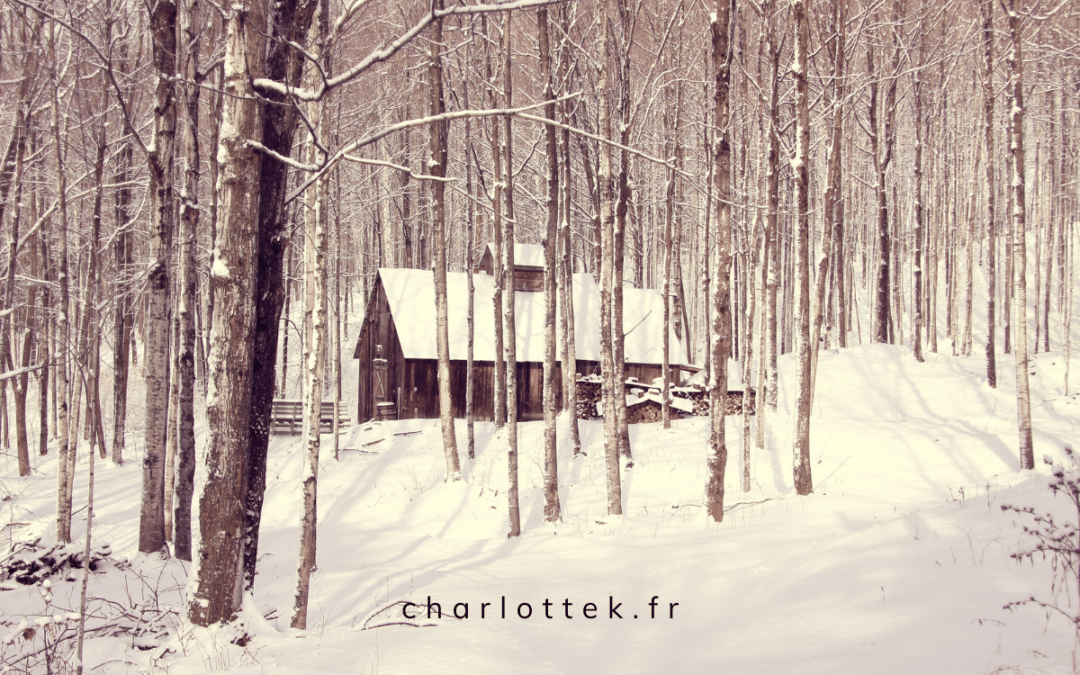 Infirmière au Québec : l&rsquo;expérience de Charlotte