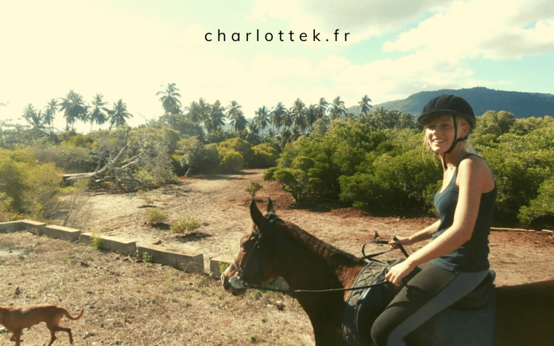 Violette : D&rsquo;infirmière à Technicienne dentaire équin