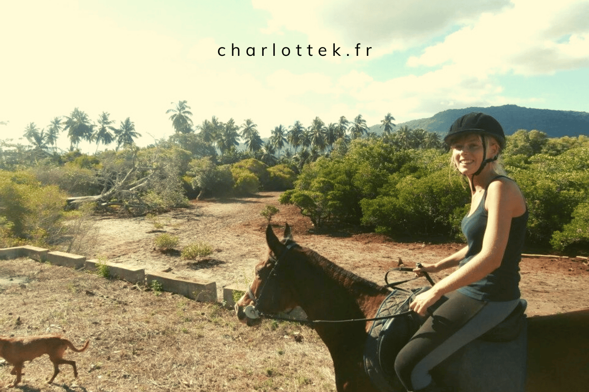 Infirmière technicienne dentaire équin