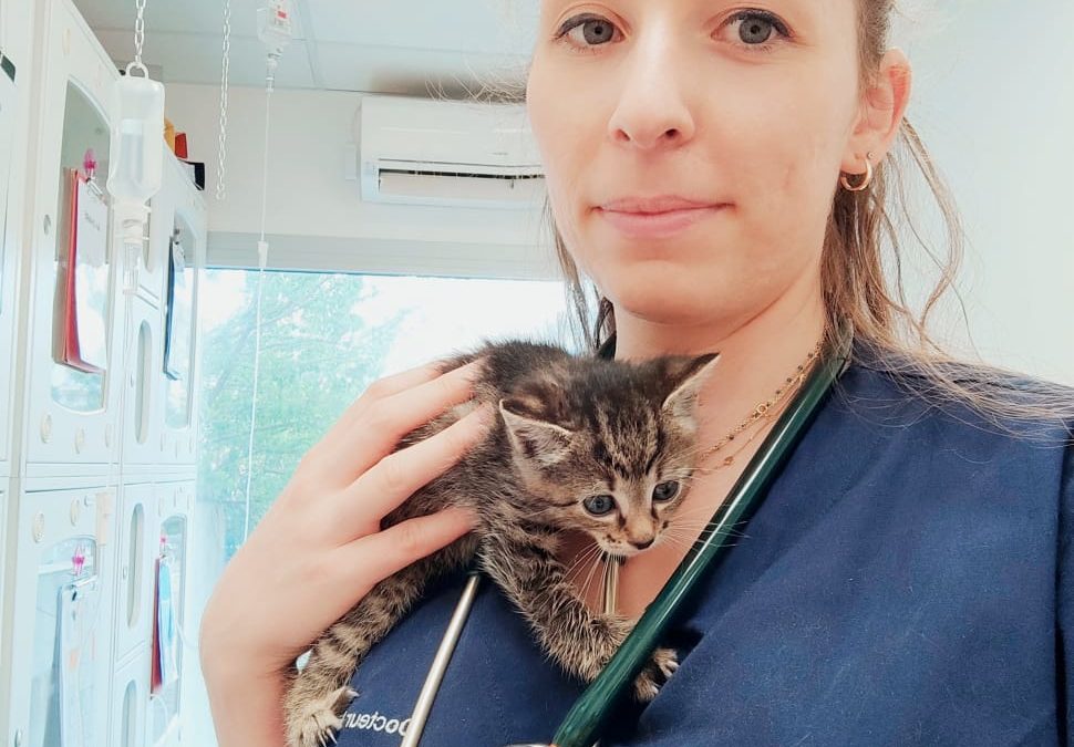 Caroline : reconversion professionnelle d&rsquo;infirmière à vétérinaire !